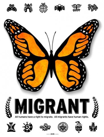 Migrant Butterfly Poster