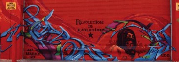 Revolution is Evolution