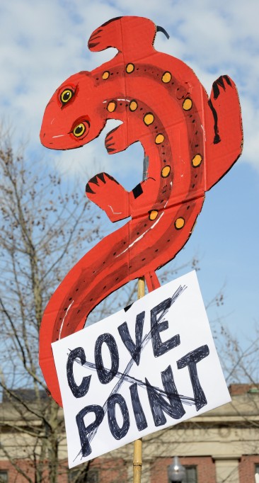 Cove Point, MD: Opposing Gas Development