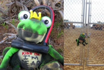 Frogs in Action Against Tar Sands!
