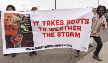 It Takes Roots to Weather the Storm