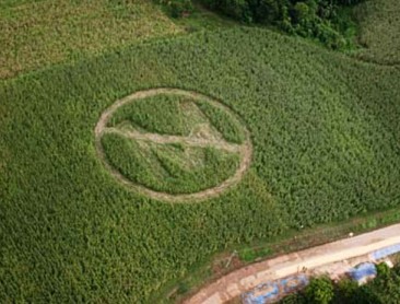 Anti-Monsanto Crop Art