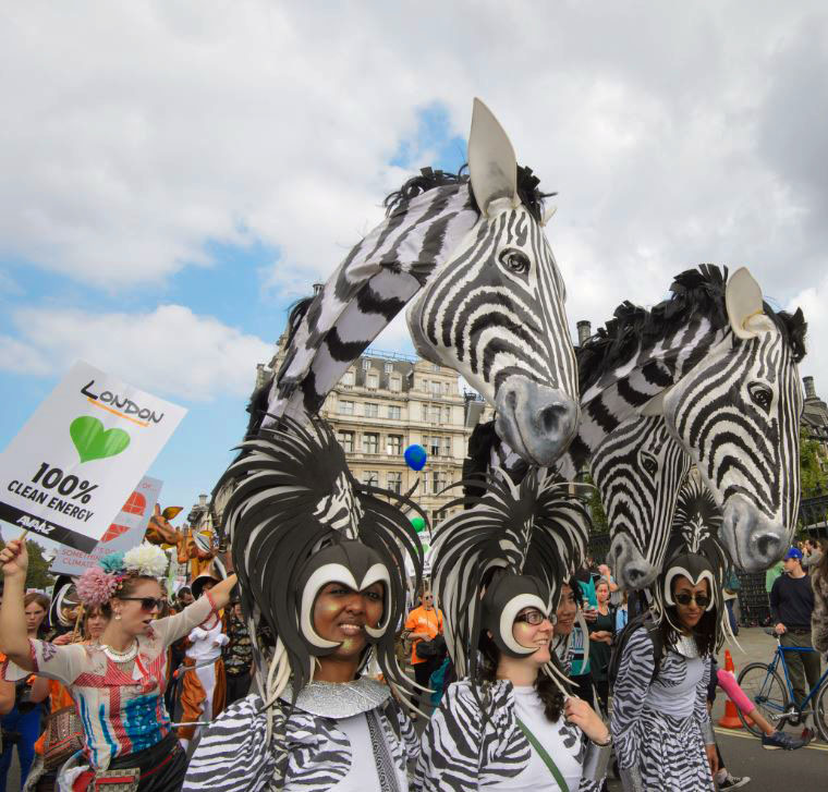Climate Justice Zebras