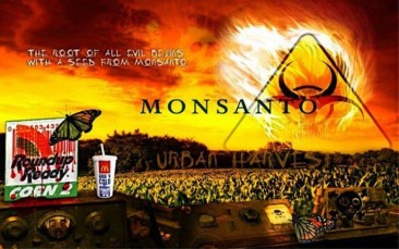 A Seed From Monsanto