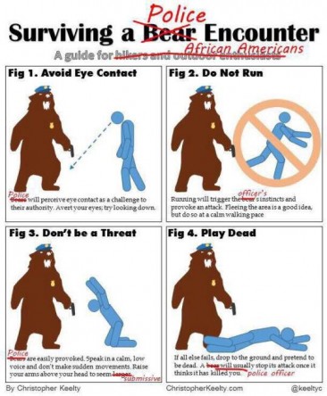 Surviving a Bear/Police Encounter