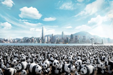 1,600 Pandas