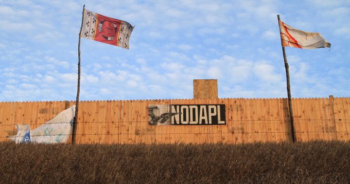 Updates from the #NoDAPL Movement at Standing Rock
